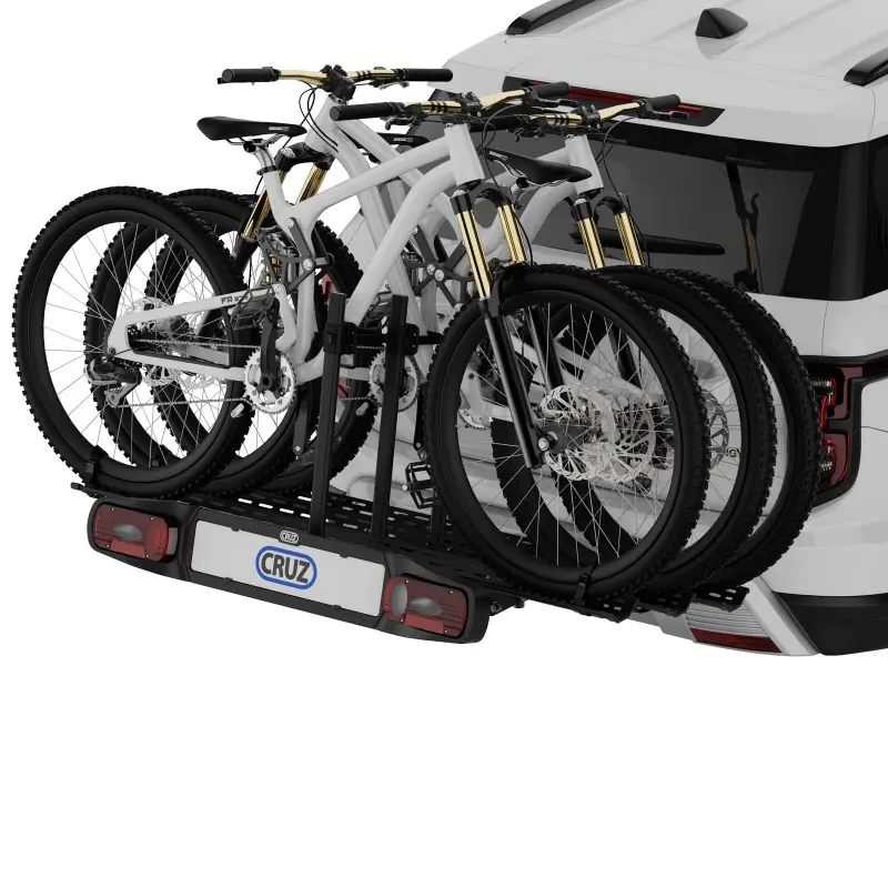 cruz-stema-3-eur (13).webp