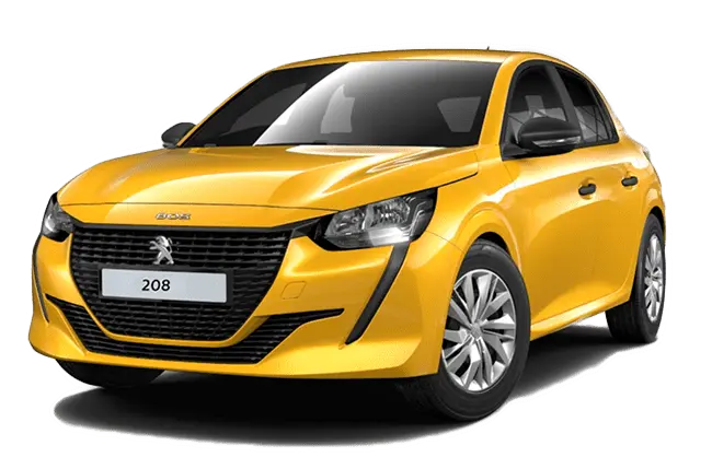 E4500FV-02 PEUG 208.webp