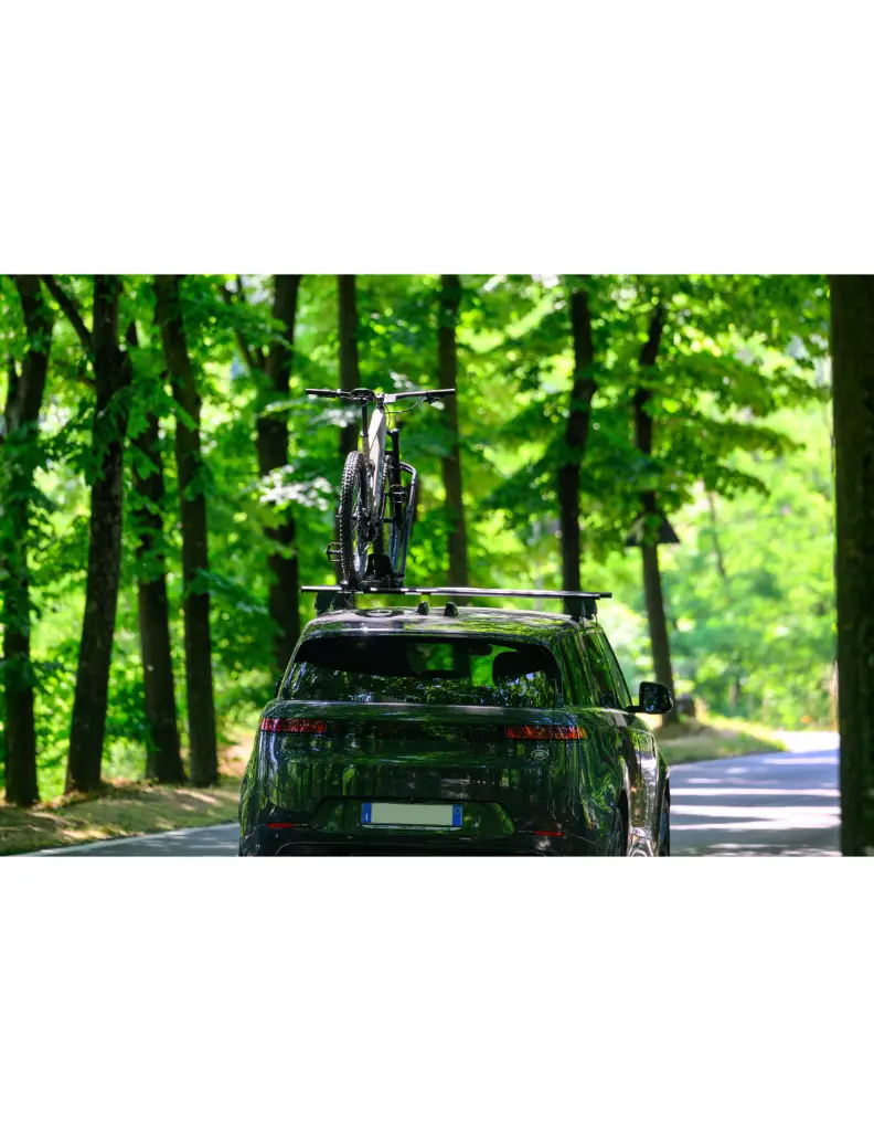 clover-dx-black (2).webp
