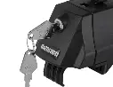 Tiger 2s.webp