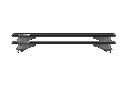 tiger-black (1).webp