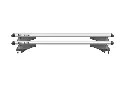 tiger-silver (1).webp