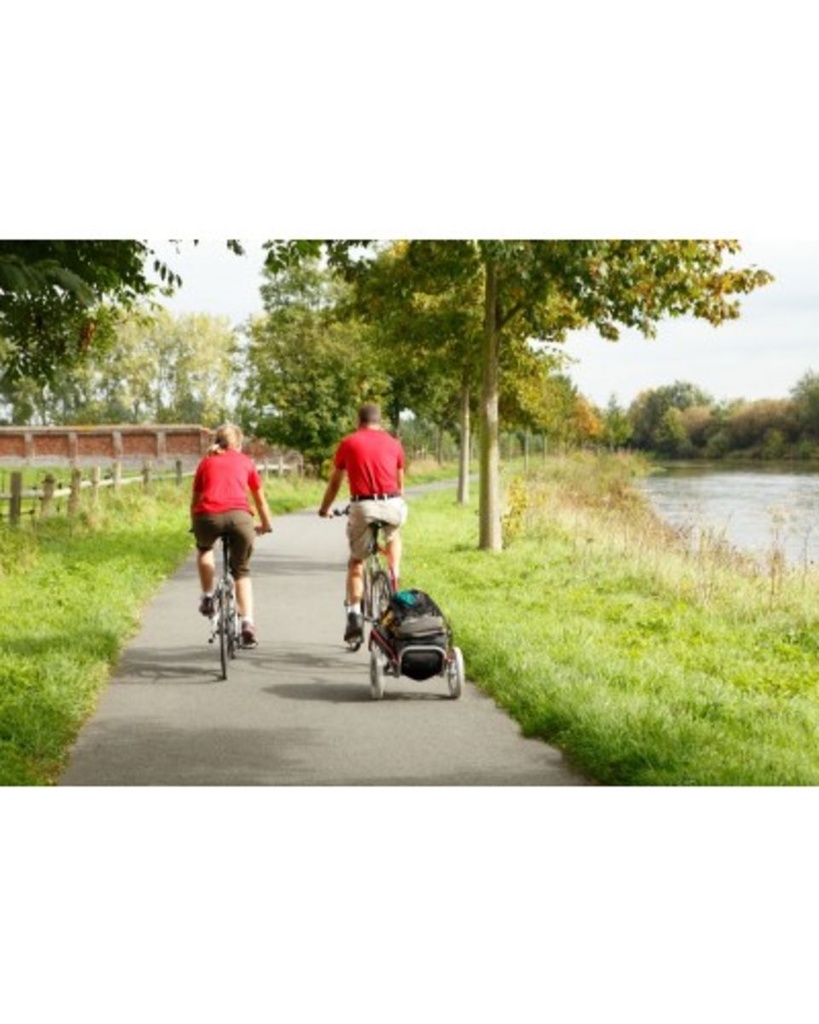 Chariot de Remorque pour Vélo - Mottez A710P