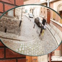 Miroir Sortie de Garage Convexe 60cm - Mottez 314C60